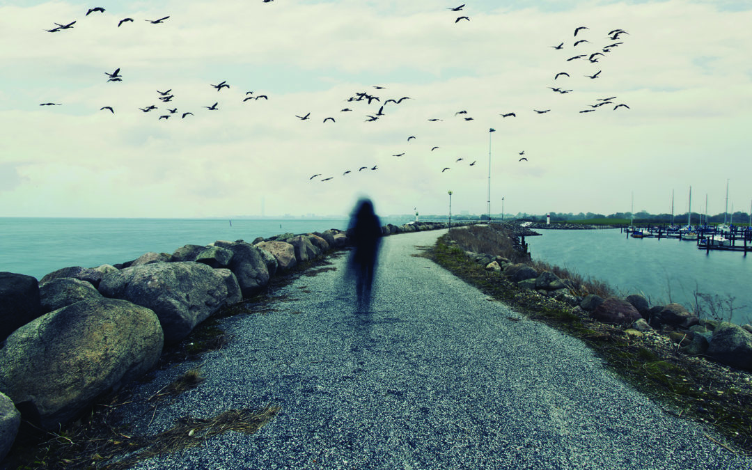 The Islanders – Tues 3rd – Sat 14th Nov