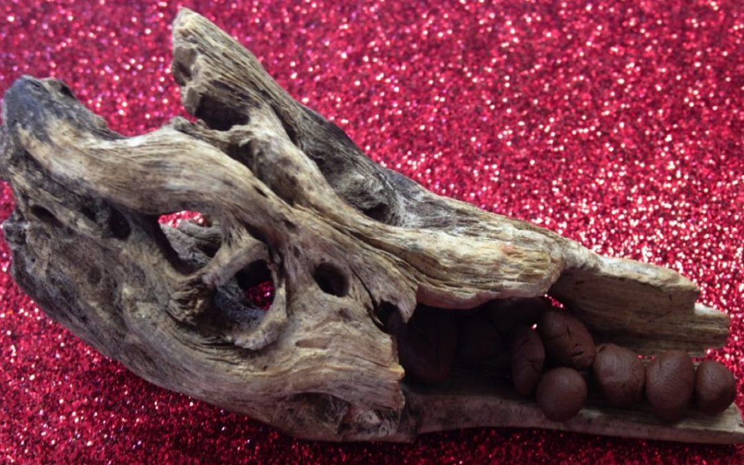 EVENT – Perspectives on the human condition