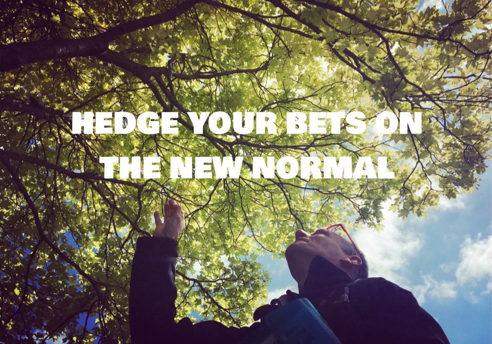 Hedge Your Bets on the New Normal
