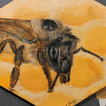 And so it begins… Weekly News from PRSC