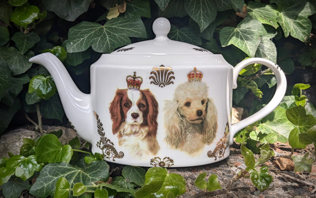 Pledge allegiance to this 🖕 : Weekly News from PRSC