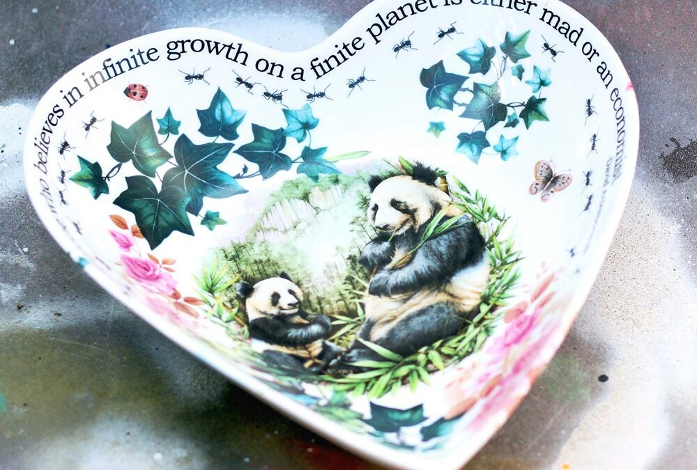 Future Plans & Past Deeds